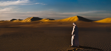 Desert Dreams by artist Gray Hawn